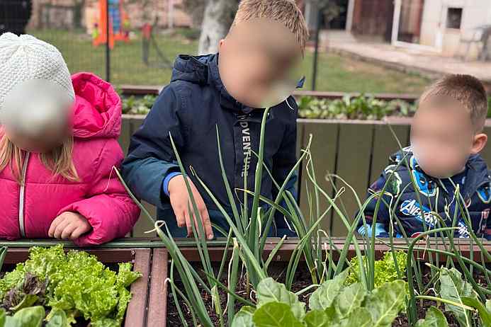 Prispodoba o gorušićinom zrnu