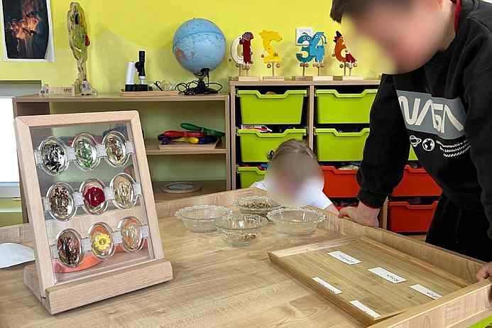 Prispodoba o gorušićinom zrnu