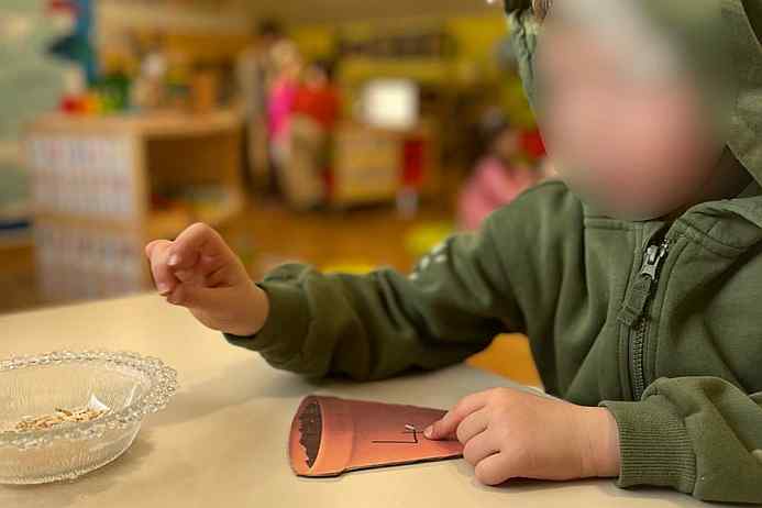 Prispodoba o gorušićinom zrnu